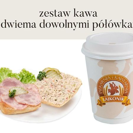 Da Vinci Apartment Krakow Luaran gambar