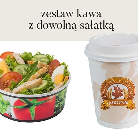 Da Vinci Apartment Krakow Luaran gambar